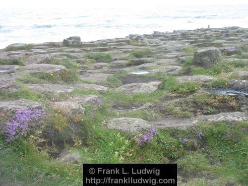 Giant's Causeway